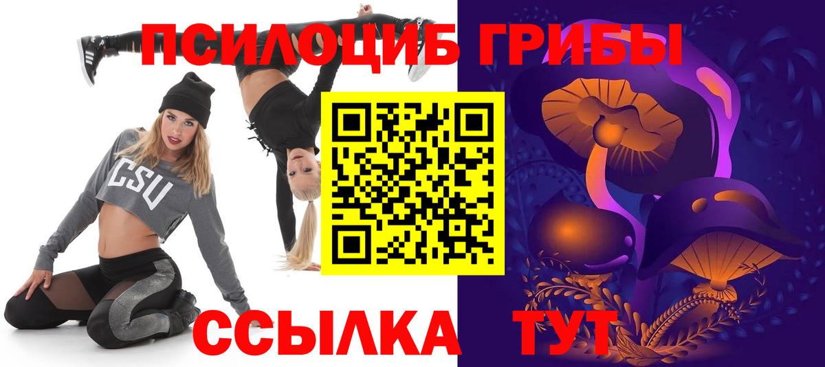 Галлюциногенные грибы прущие грибы  Галлюциногенные грибы Psilocybe  Вход с VPN  Унеча 
